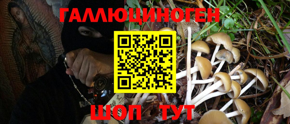 Псилоцибиновые грибы мухоморы  Вход с VPN  Дмитров 